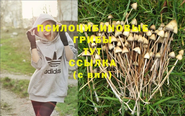 Альфа ПВП Алзамай