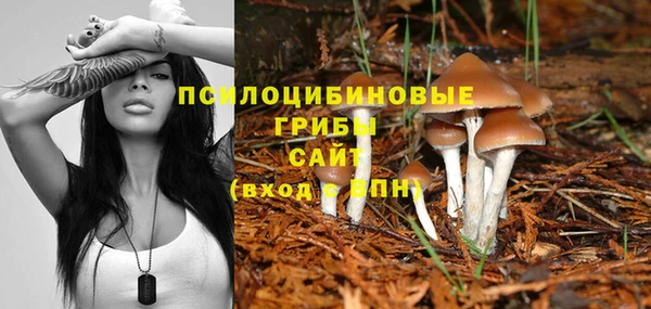 марки lsd Осташков