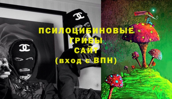 2c-b Алексин