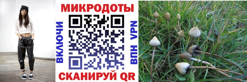 Галлюциногенные грибы прущие грибы  Иланский 